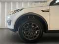 Land Rover Discovery Sport SE TD4 Xenon SHZ Navi SpurH LM Weiß - thumbnail 9