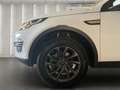 Land Rover Discovery Sport SE TD4 | Meridian Soundsystem | RFK Xenon SHZ Navi Wit - thumbnail 9