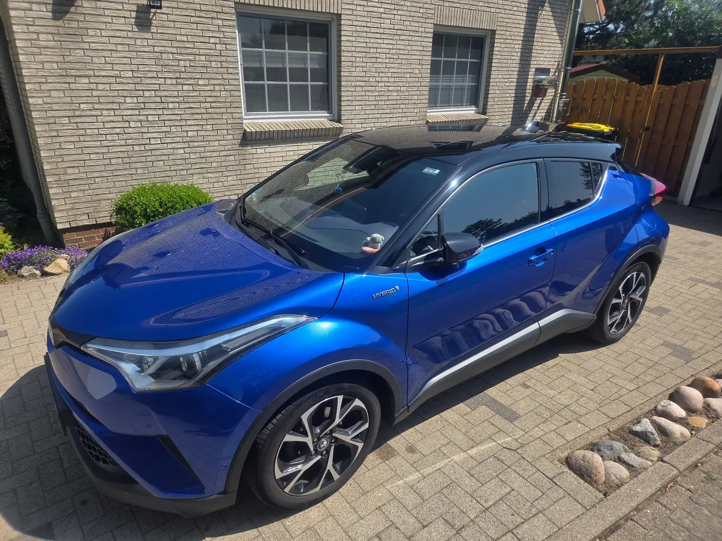Toyota C-HR C-HR Hybrid Style Blau - 2