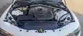 Alfa Romeo Giulia Turbodiesel CC. 2.2 CV. 150 Automatica Cambio F1. Bianco - thumbnail 15