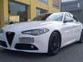 Alfa Romeo Giulia Turbodiesel CC. 2.2 CV. 150 Automatica Cambio F1. Bianco - thumbnail 1