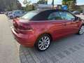 Volkswagen Golf Cabriolet Golf Cabrio 1.6 TDI Rot - thumbnail 6