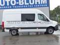 Mercedes-Benz Sprinter 316 Mixto L2H2 Standhzg Regale AHK 3,5T Weiß - thumbnail 3