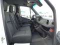 Mercedes-Benz Sprinter 316 Mixto L2H2 Standhzg Regale AHK 3,5T Weiß - thumbnail 13
