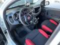 Fiat New Panda VAN 4x4 0.9 t.air 85 Cv Белый - thumbnail 13