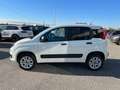 Fiat New Panda VAN 4x4 0.9 t.air 85 Cv Белый - thumbnail 5