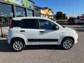 Fiat New Panda VAN 4x4 0.9 t.air 85 Cv Белый - thumbnail 9