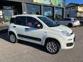 Fiat New Panda VAN 4x4 0.9 t.air 85 Cv Белый - thumbnail 2
