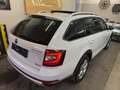 Skoda Octavia Octavia Scout 2,0 TDI 4x4 DSG Scout Weiß - thumbnail 12