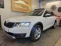 Skoda Octavia Octavia Scout 2,0 TDI 4x4 DSG Scout Weiß - thumbnail 1