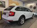Skoda Octavia Octavia Scout 2,0 TDI 4x4 DSG Scout Weiß - thumbnail 7
