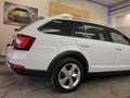 Skoda Octavia Octavia Scout 2,0 TDI 4x4 DSG Scout Weiß - thumbnail 9