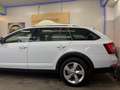 Skoda Octavia Octavia Scout 2,0 TDI 4x4 DSG Scout Weiß - thumbnail 3