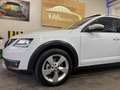 Skoda Octavia Octavia Scout 2,0 TDI 4x4 DSG Scout Weiß - thumbnail 4