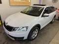 Skoda Octavia Octavia Scout 2,0 TDI 4x4 DSG Scout Weiß - thumbnail 2