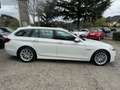 BMW 520 520d Touring Luxury 190cv Bianco - thumbnail 4