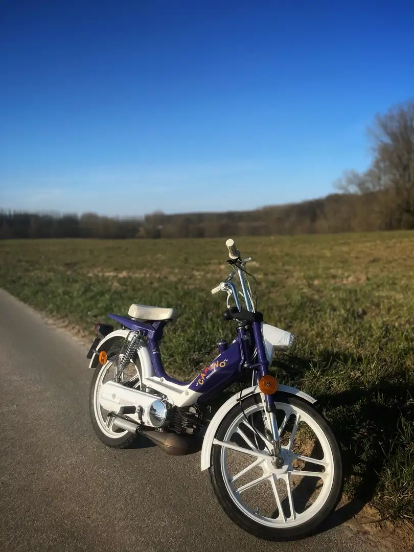 Honda Camino 1989 Funny Camino Violet - 1