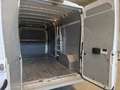 Fiat Ducato furgone L3H2  EURO6b lungo 5,998 largo 2,050 Bianco - thumbnail 10