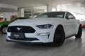 Ford Mustang GT 5.0 TI-VCT (EU) NAVI/LED/KAMERA/B&O Weiß - thumbnail 3