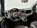 Fiat Panda CROSS 1.0 GSE FIREFLY HYBRID 70CV 5POSTI ONLYPROMO Schwarz - thumbnail 6
