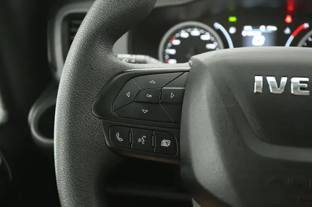 Iveco Daily view 14