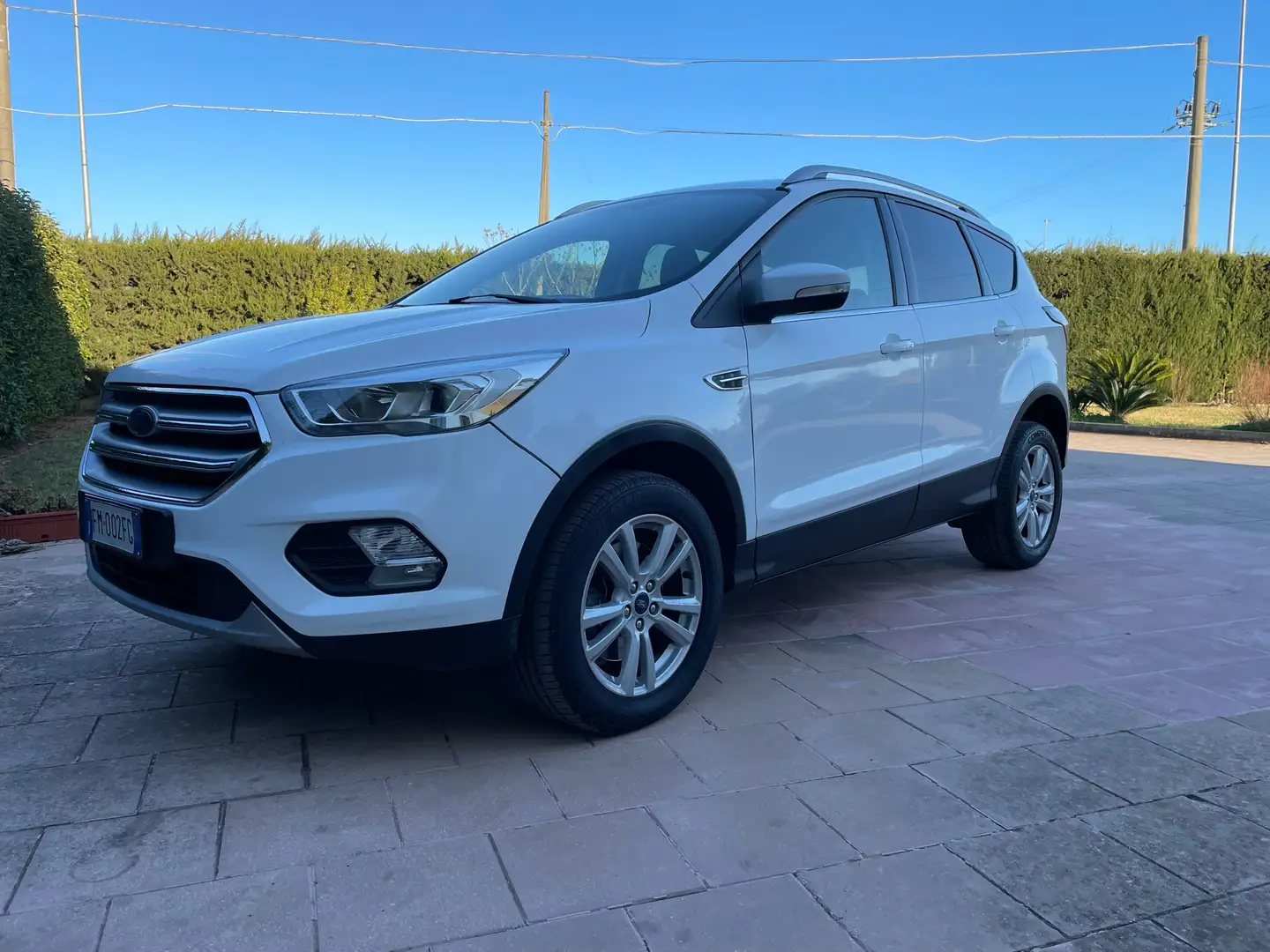 Ford Kuga 1.5 tdci Business s&s 2wd 120cv powershift Wit - 1