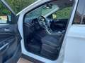 Ford Kuga 1.5 tdci Business s&s 2wd 120cv powershift Wit - thumbnail 6