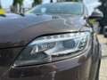Audi Q7 4.2 TDI S-LINE Sport Plus,PANORAMA,XENON,21.ZOLL ! Braun - thumbnail 10