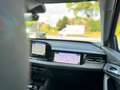 Audi Q6 MATRIX / PERFORMANCE / TREKHAAK / ASARI BLUE - thumbnail 26
