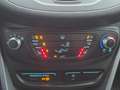 Ford B-Max B-MAX Trend Braun - thumbnail 20