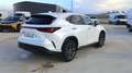 Lexus NX 450h+ EXECUTIVE 4WD Blanco - thumbnail 3