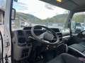 Nissan Cabstar NT 400  2.5 dci 140cv RIBALTABILE   IVA ESPOSTA Білий - thumbnail 9