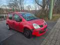 Renault Modus Avantage Klima Servo Alwetter Rot - thumbnail 3