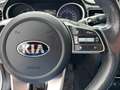 Kia Ceed SW / cee'd SW Ceed SW 1.6 CRDi ISG HP/Gold/DCT LP.: € 31.690,00 Weiß - thumbnail 12