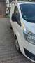 Ford Transit Custom Weiß - thumbnail 3
