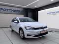 Volkswagen Golf Variant 1.5 TSI COMFORTLINE AHK PDC LED KLIMA Weiß - thumbnail 6