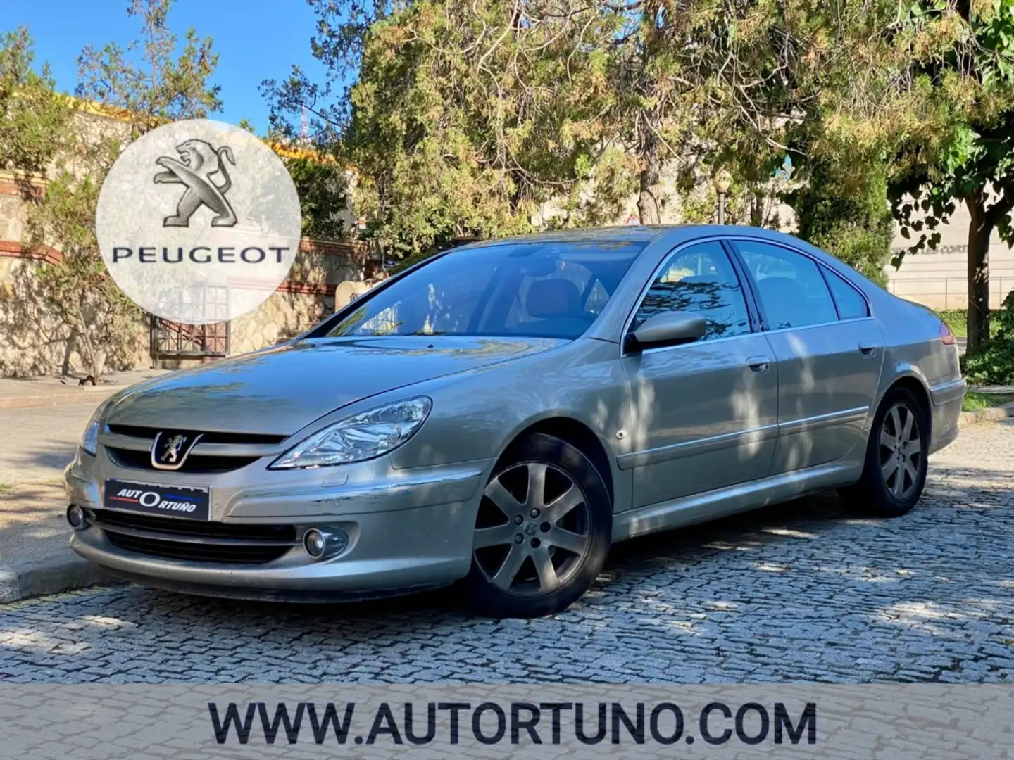 Peugeot 607 2.7HDi Pack Diamante Aut. Beige - 1