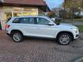 Skoda Kodiaq Ambition 1,5 TSI DSG -7 Sitze-ACC-Kamera- Blanc - thumbnail 4