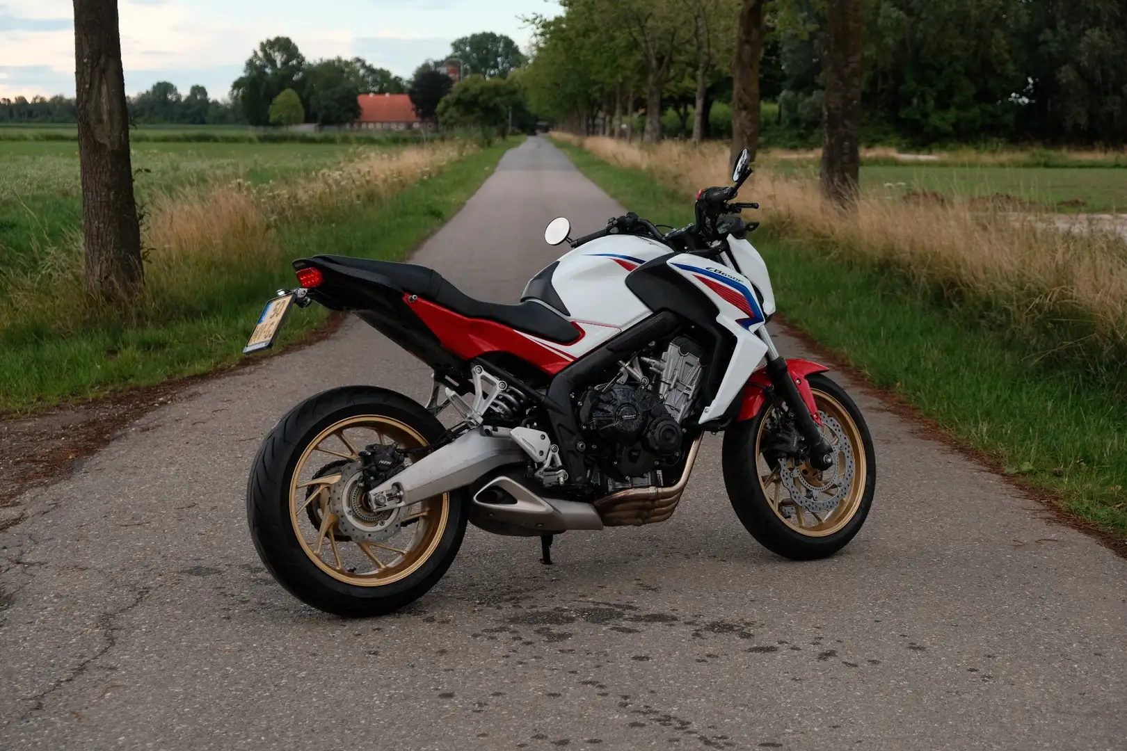 Honda CB 650 F Wit - 2