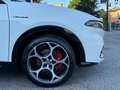 Alfa Romeo Tonale 1.5 160 CV MHEV TCT7 Veloce Bianco - thumbnail 9