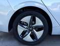 Hyundai IONIQ HEV 1.6 GDI Tecno Grijs - thumbnail 48