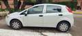 Fiat Punto Punto 1.7 TD 70 Stile Stile Blanco - thumbnail 3