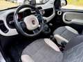 Fiat Panda Panda III 4x4 1.3 mjt 16v 4x4 75cv E5+ Argento - thumbnail 10