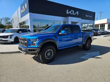 Blue 2019 Ford F-150 Pickup Truck Four-Wheel Drive Automatic