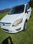 Ford Kuga Kuga 2,0 Titanium 4x4 TDCI DPF Titanium Weiß - thumbnail 1