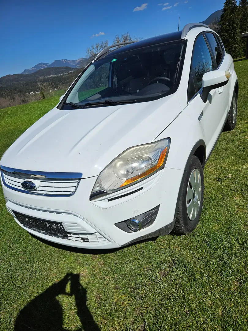 Ford Kuga Kuga 2,0 Titanium 4x4 TDCI DPF Titanium Weiß - 1