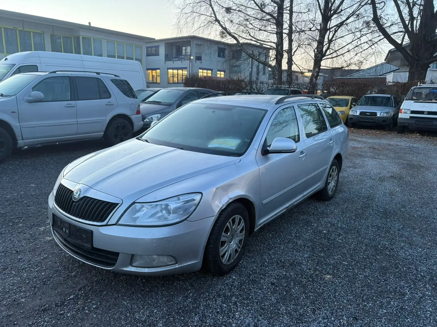 Skoda Octavia 4X4... Keine Pickel Grau - 1