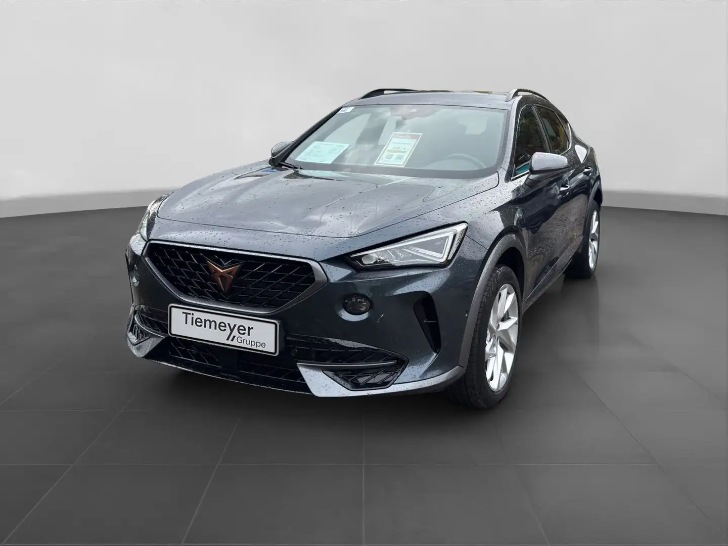 CUPRA Formentor 2.0 TSI 4D KAMERA NAVI+ PARKLENK ACC Grijs - 2