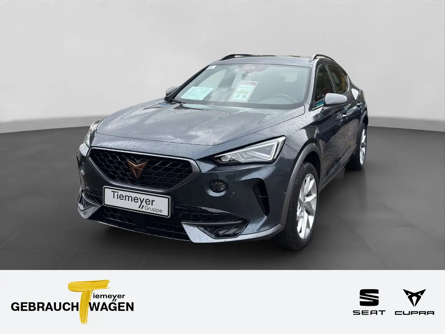 CUPRA Formentor 2.0 TSI 4D KAMERA NAVI+ PARKLENK ACC Grijs - 1