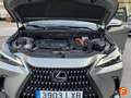 Lexus NX 350h Luxury 4WD Amarillo - thumbnail 19